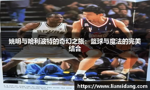 姚明与哈利波特的奇幻之旅：篮球与魔法的完美结合